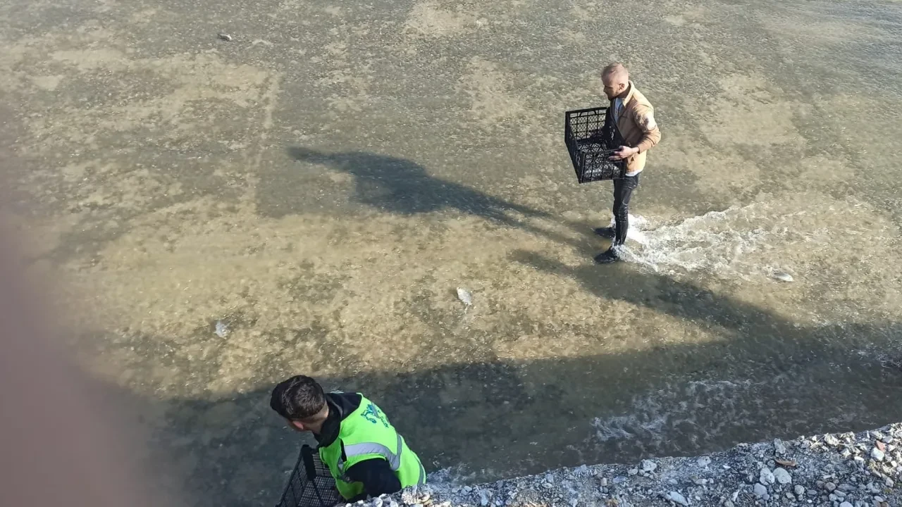 Baraj kapakları açıldı, balıklar bölgeye saçıldı: Çuval ve kovalarla topladılar