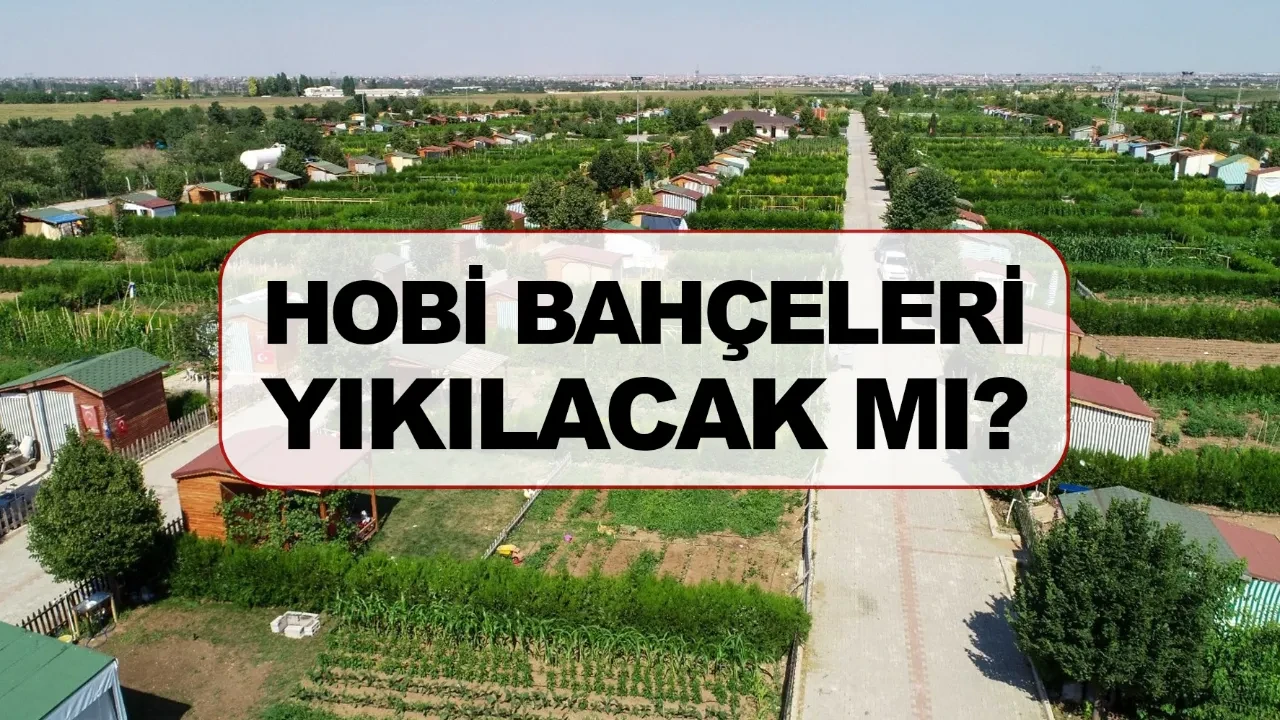 Hobi bahçeleri yıkılacak mı ne olacak? Tarlaya yapılan evler son gelişme