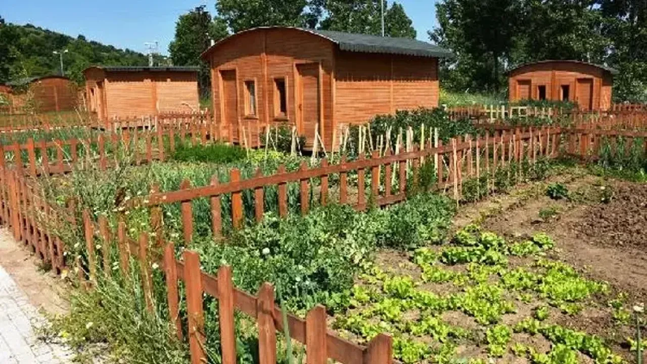Hobi bahçeleri yıkılacak mı ne olacak? Tarlaya yapılan evler son gelişme