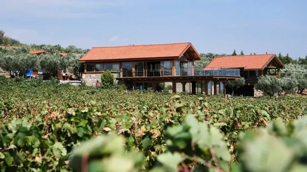 Hobi bahçeleri yıkılacak mı ne olacak? Tarlaya yapılan evler son gelişme