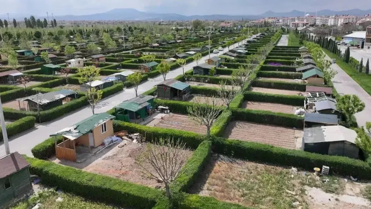 Hobi bahçeleri yıkılacak mı ne olacak? Tarlaya yapılan evler son gelişme