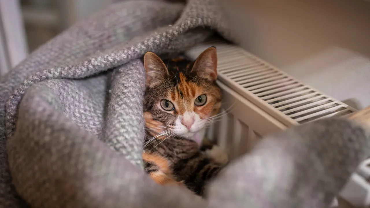  ilin ortalama tüketimi