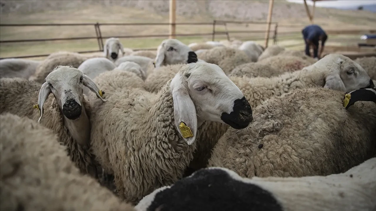 Kurban Bayramı ikramiyesi ne zaman yatacak, ZAM yapılacak mı? Emekliler için ödeme takvimi belli olacak