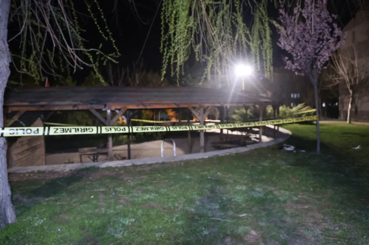 Nevşehir'de şaşkına çeviren kavga! "Bu parkın lambası niye yanmıyor?" diyerek birbirlerine girdiler