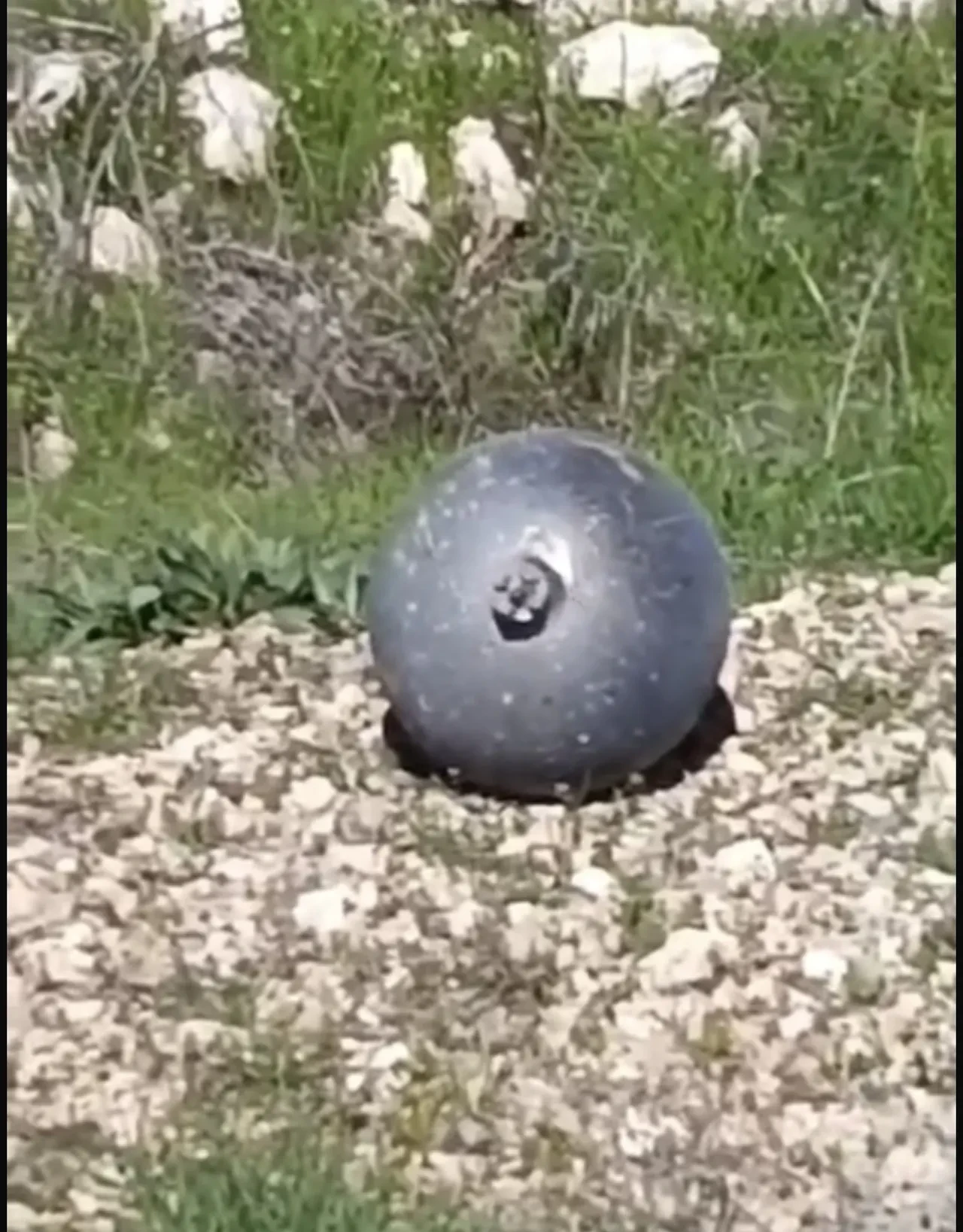 Tarlada bulunan cisim tedirgin etti