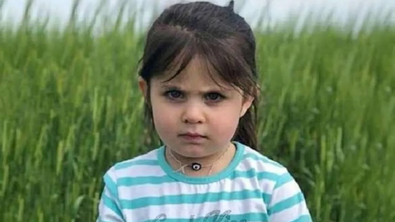 Avukatsız kalan Leyla Aydemir davasında yeni gelişme: Bakanlık olaya el koydu