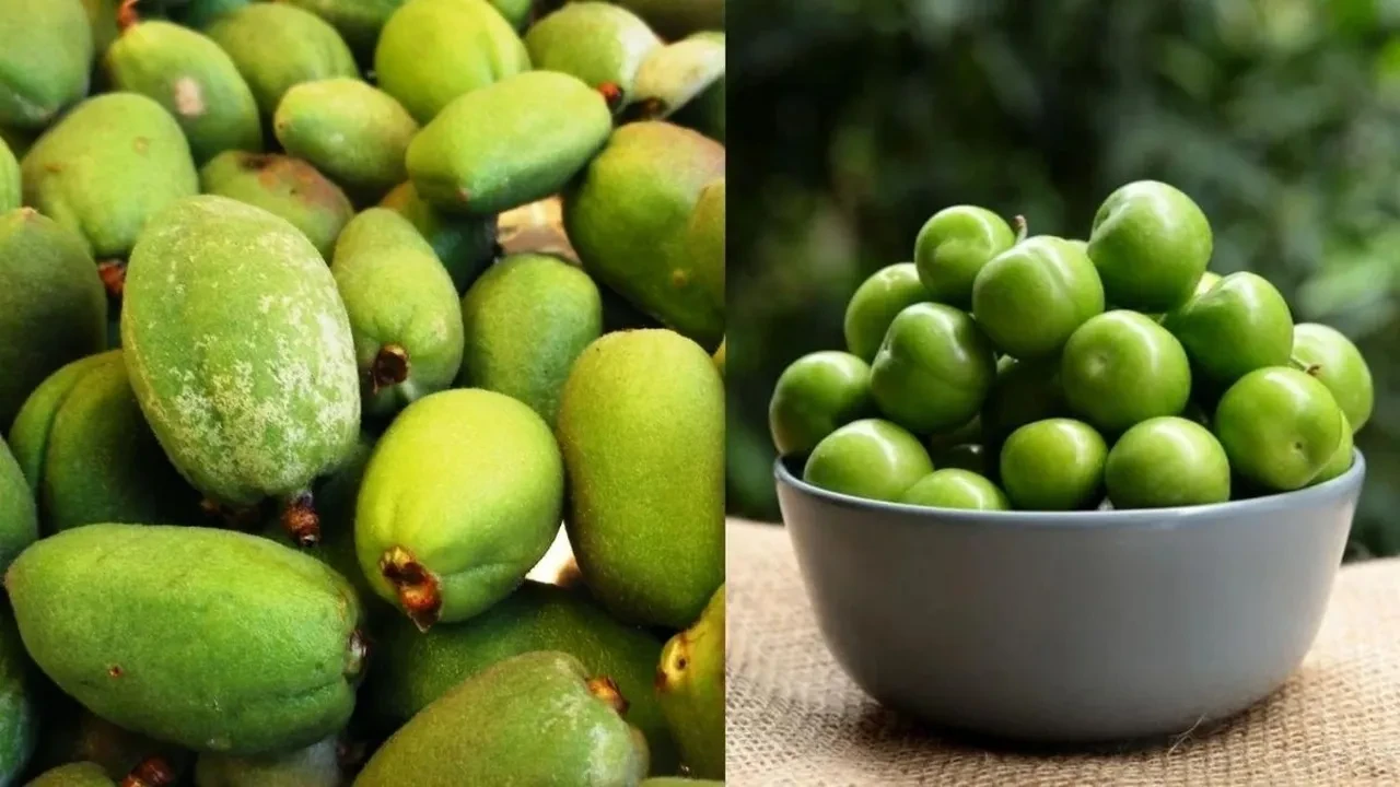 Çağla ve erikle yapılan muhteşem salata! Diyet listelerinin lideri oldu