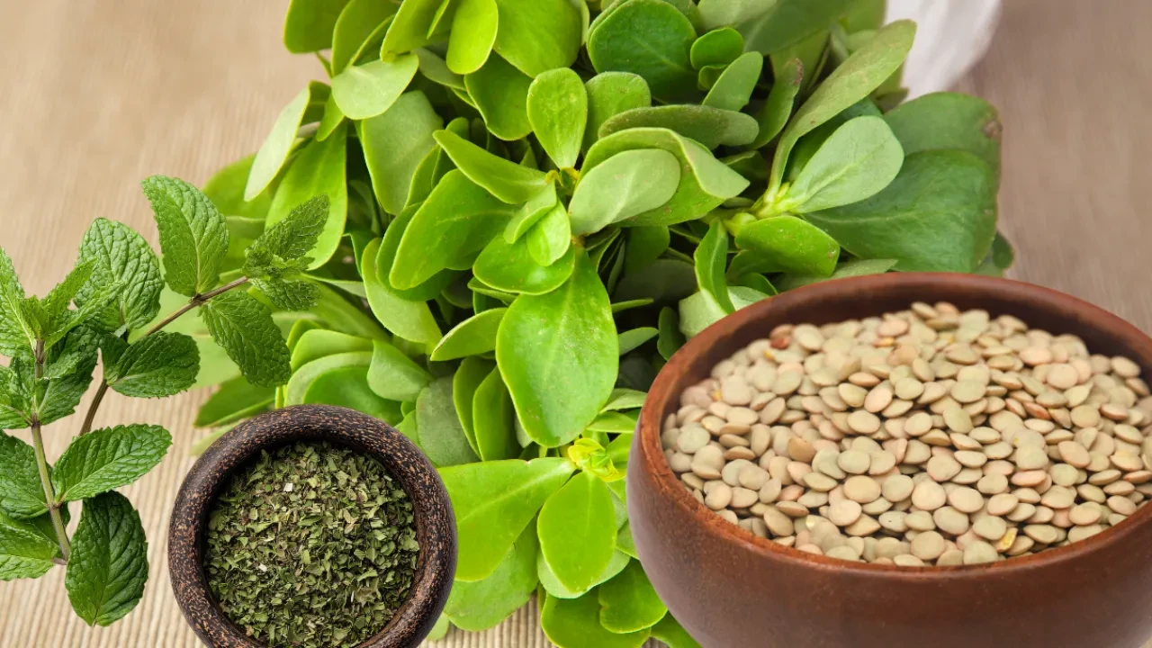 Doya doya kilo verin! Yaza dair her şey bu tabakta: semizotu, yeşil mercimek nane