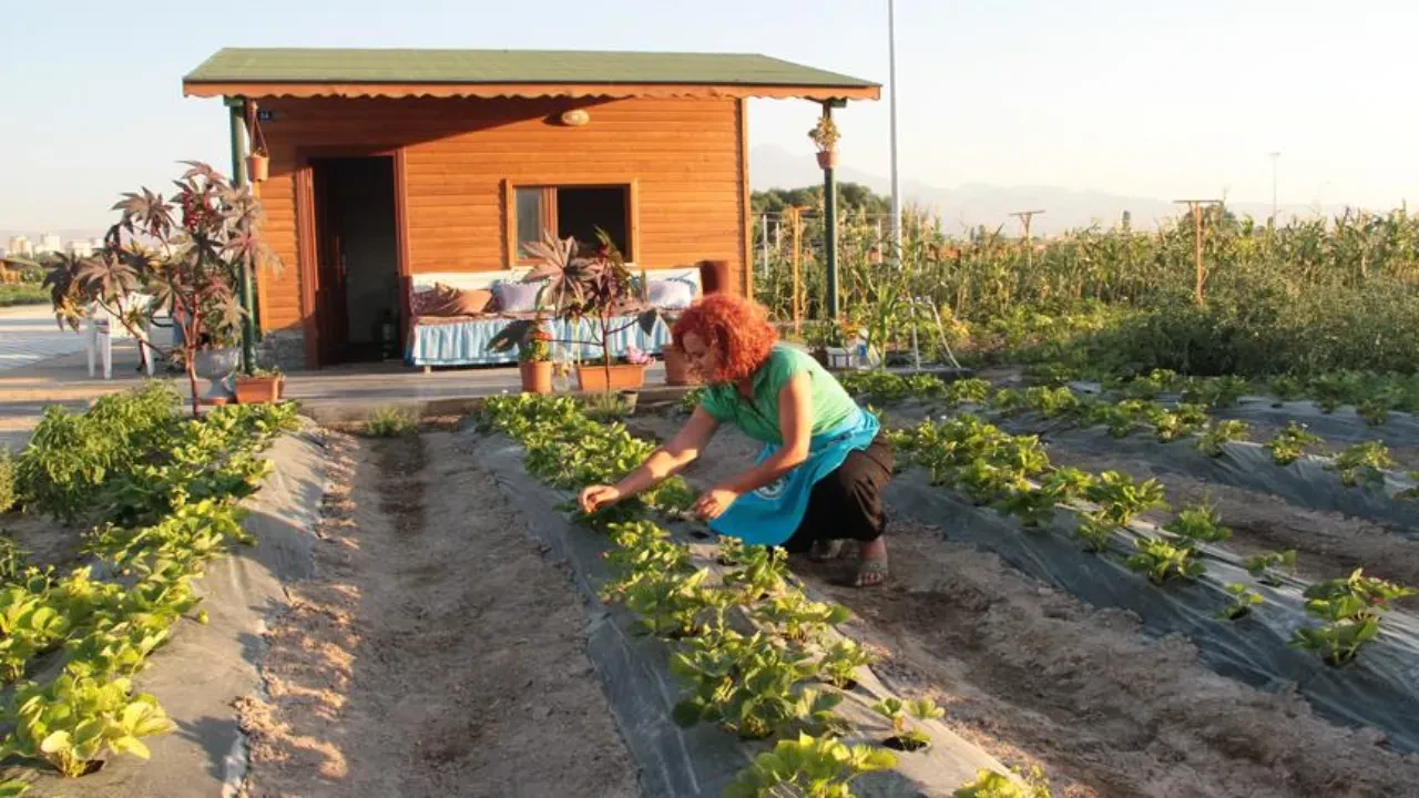 Hangi hobi bahçeleri yıkılmayacak? Tarım arazilerinde kaçak yapı düzenlemesi