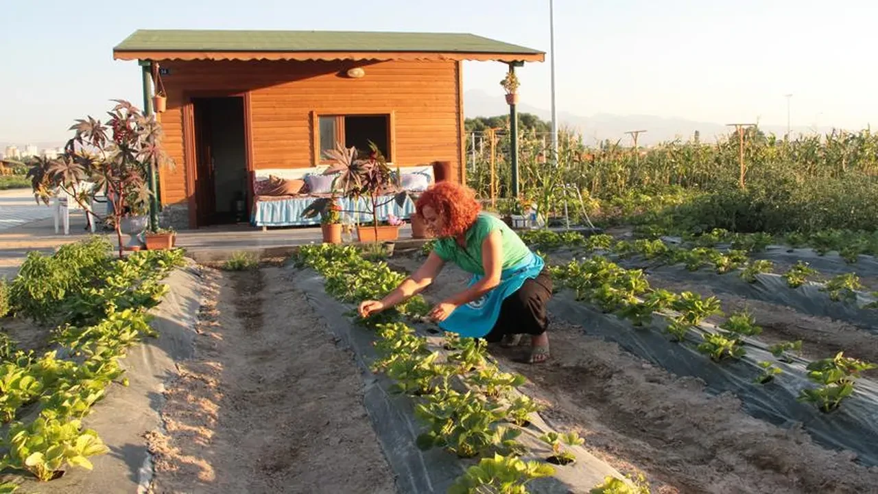 Hobi bahçelerindeki evler yıkılacak mı? Yeni düzenleme dikkat çekti
