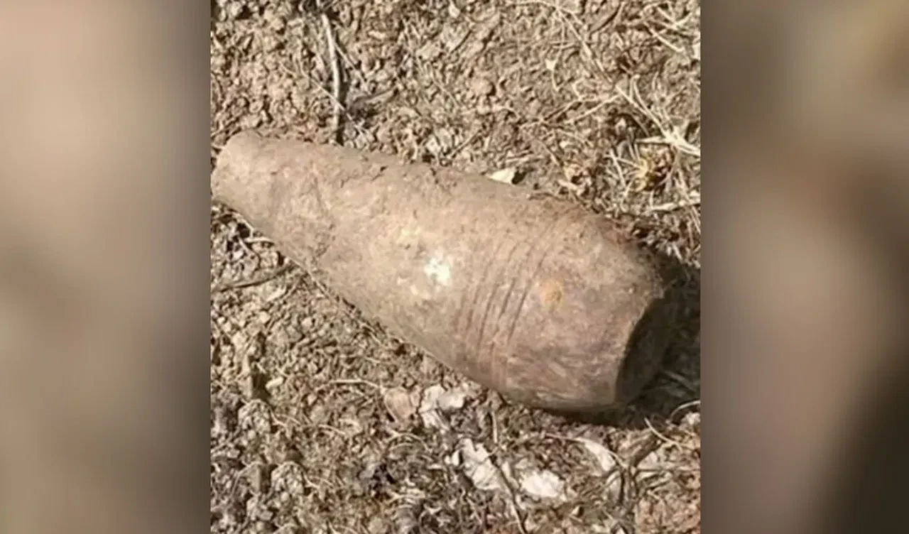 Küçük çocuğun keşfi mahalleyi ayağa kaldırdı, hava kuvvetleri devreye girdi