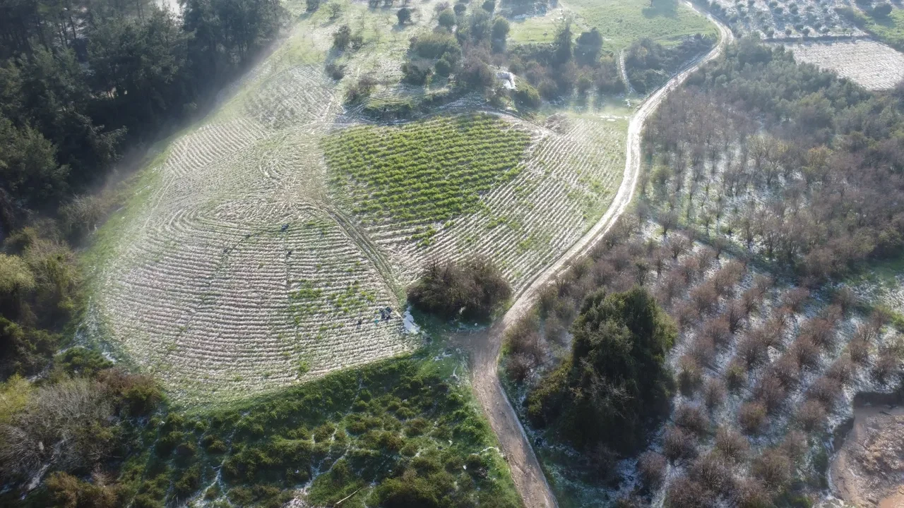 Mersin'de dolu etkili oldu! Misket büyüklüğündeki dolu zor anlar yaşattı
