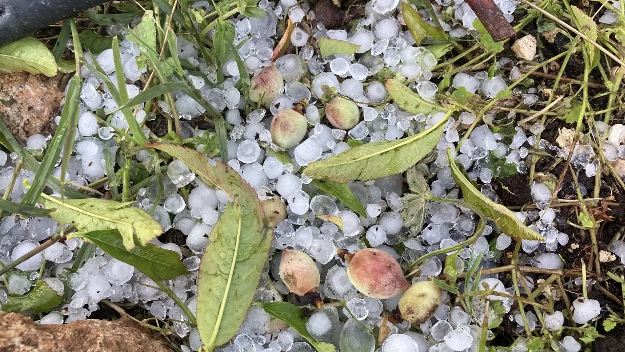 Mersin'de dolu etkili oldu! Misket büyüklüğündeki dolu zor anlar yaşattı