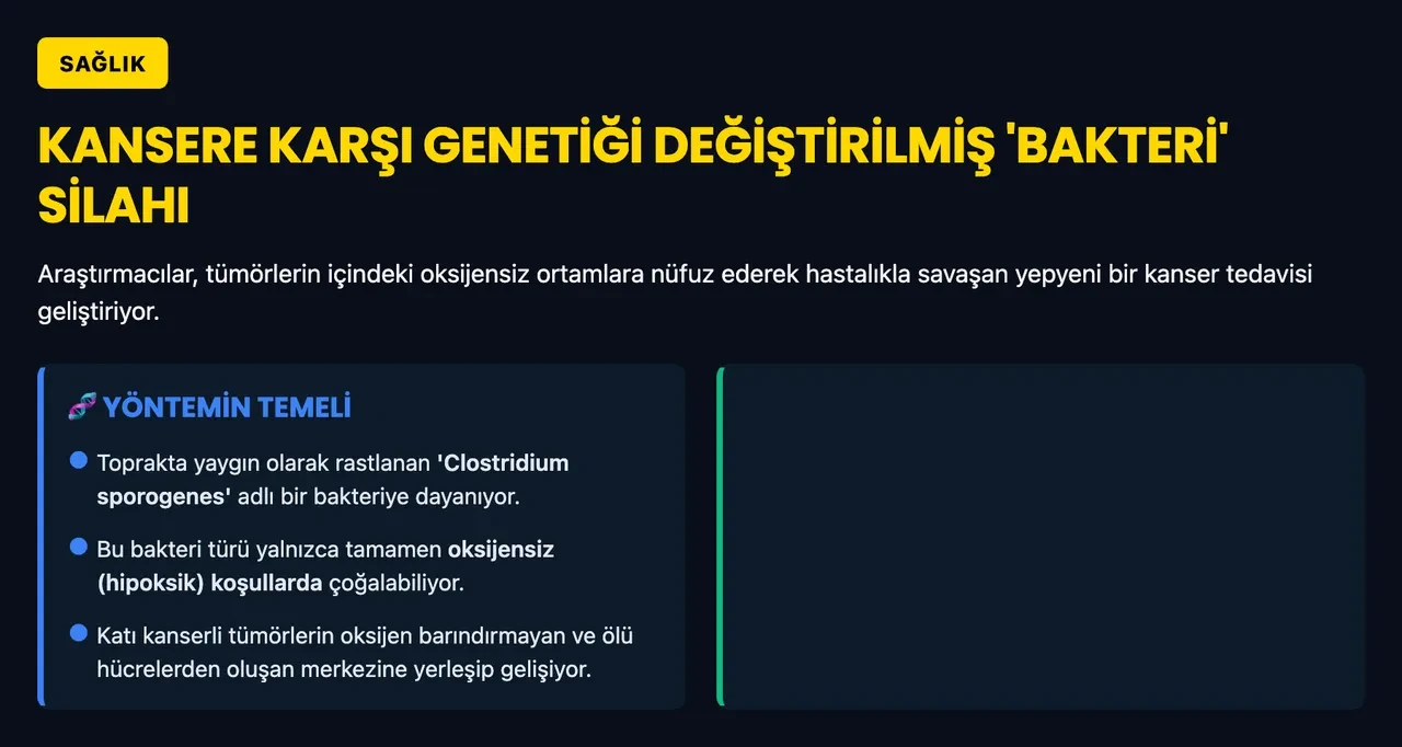 Tümörü içeriden yiyip bitiren "canavar" bakteri geliştirildi!