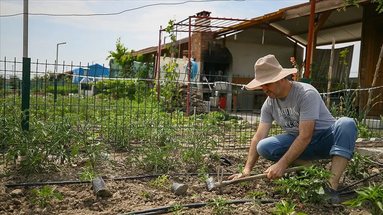 Uzmanlardan 'tarla kondu' uyarısı! Yıkılacak evleri alıp mağdur olmayın
