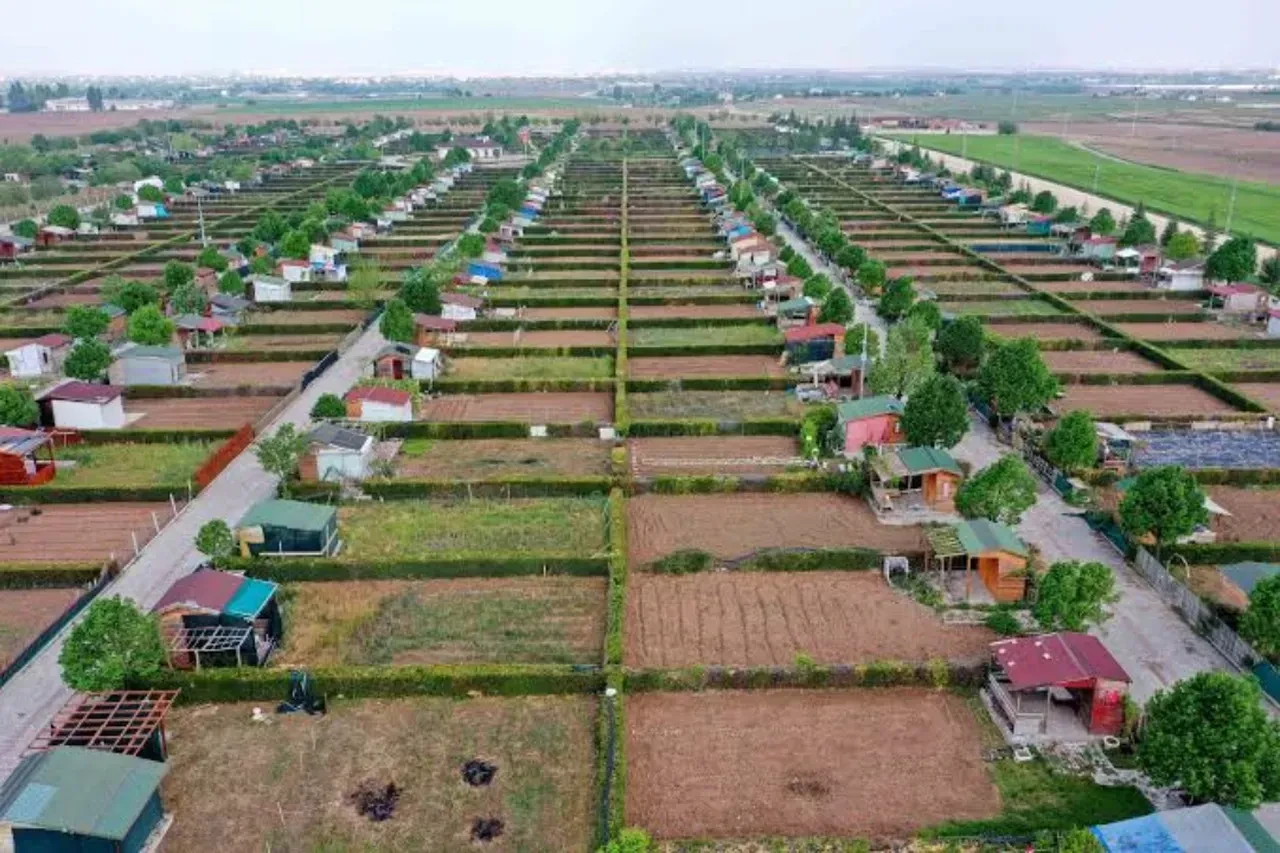 Uzmanlardan 'tarla kondu' uyarısı! Yıkılacak evleri alıp mağdur olmayın