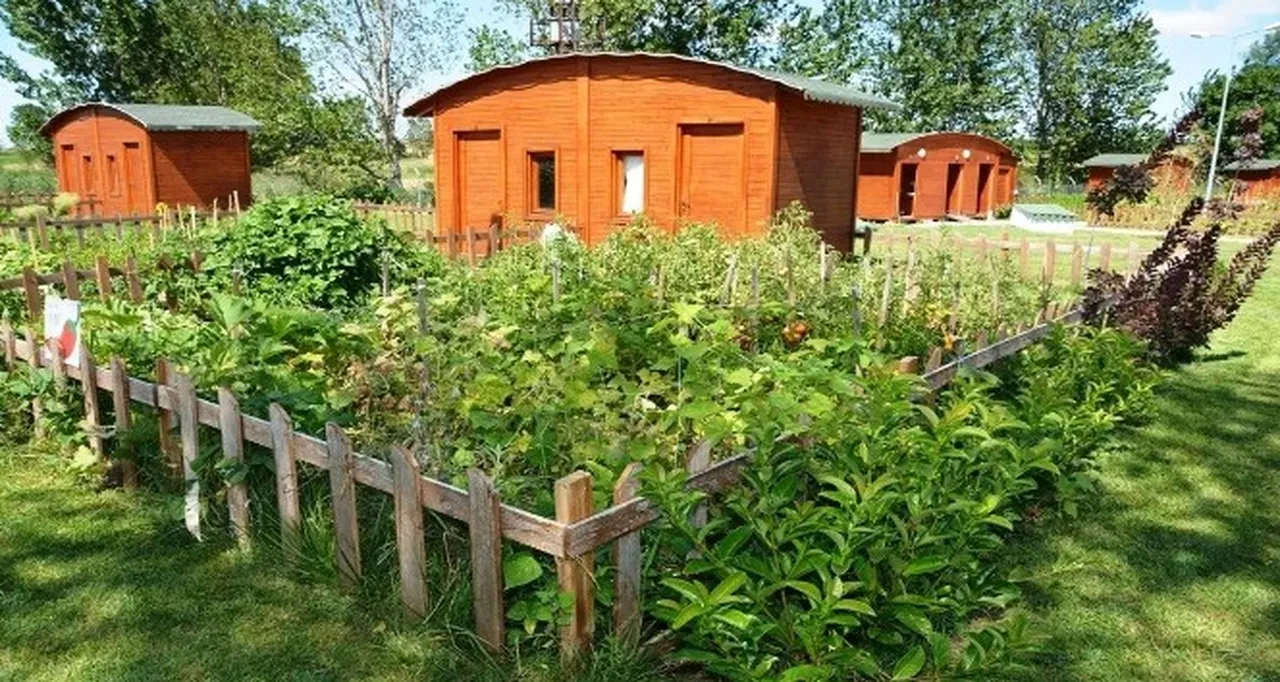 Uzmanlardan 'tarla kondu' uyarısı! Yıkılacak evleri alıp mağdur olmayın