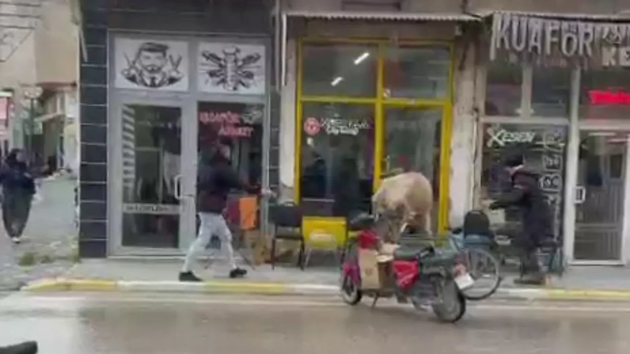 Sahibinden kaçan inekten esnaf ziyareti!