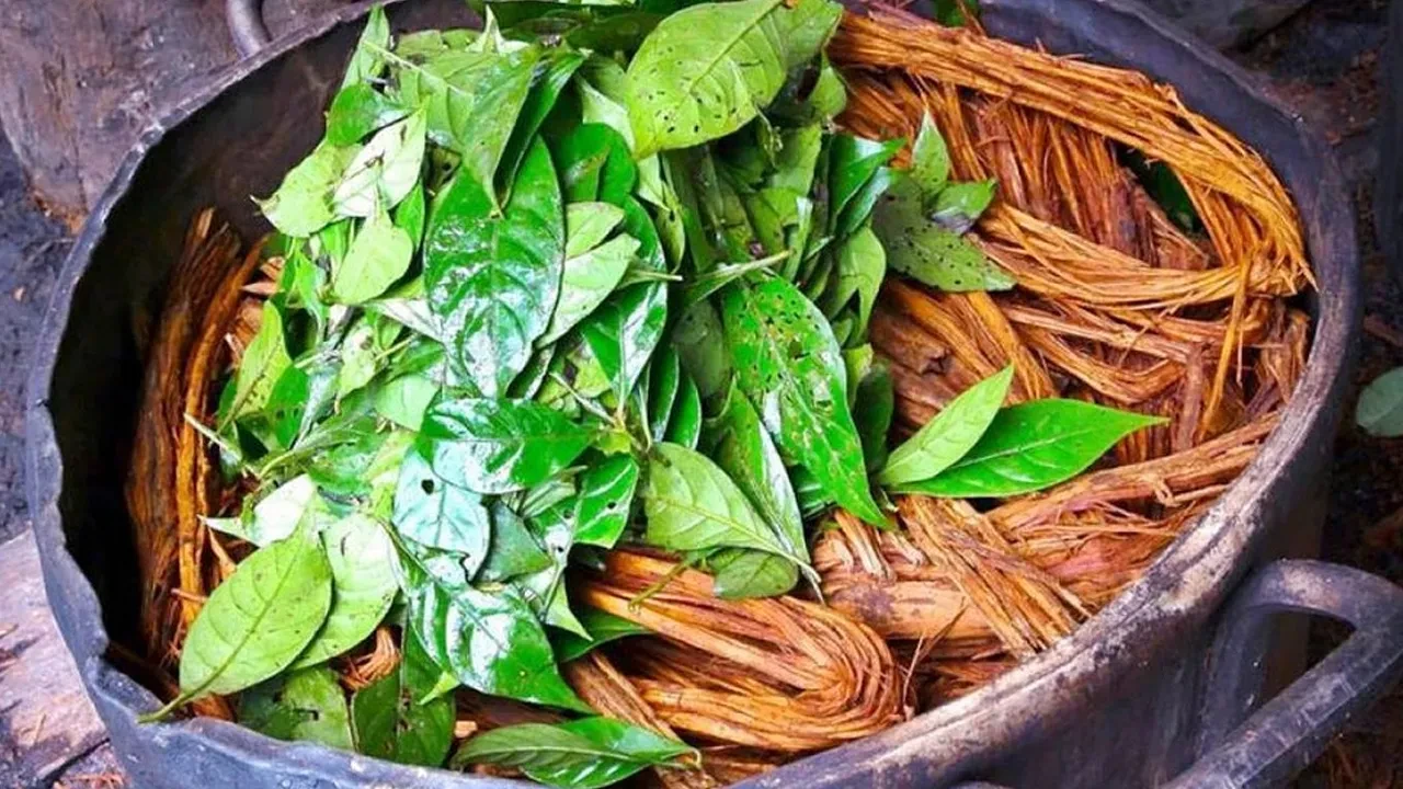 Şarkıcı Yusuf Güney bir kez daha gözaltında! Gerekçe: Ayahuasca çayını özendirme