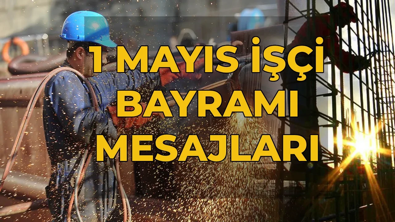 Fotoğraf