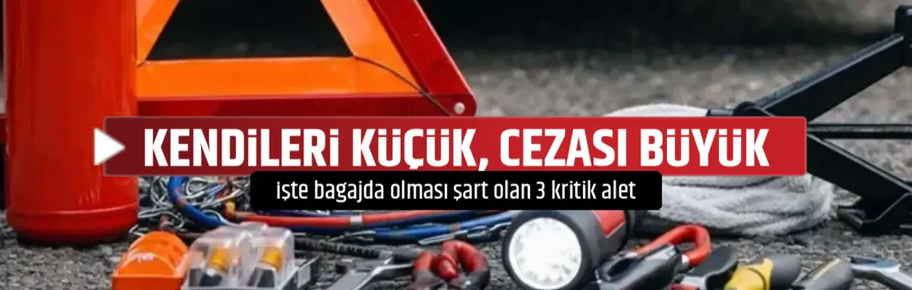 KENDİLERİ KÜÇÜK, CEZASI BÜYÜK