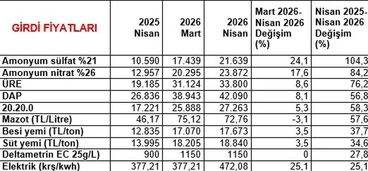 Nisan ayının şampiyonu belli oldu: Fiyatı yüzde 393 arttı!