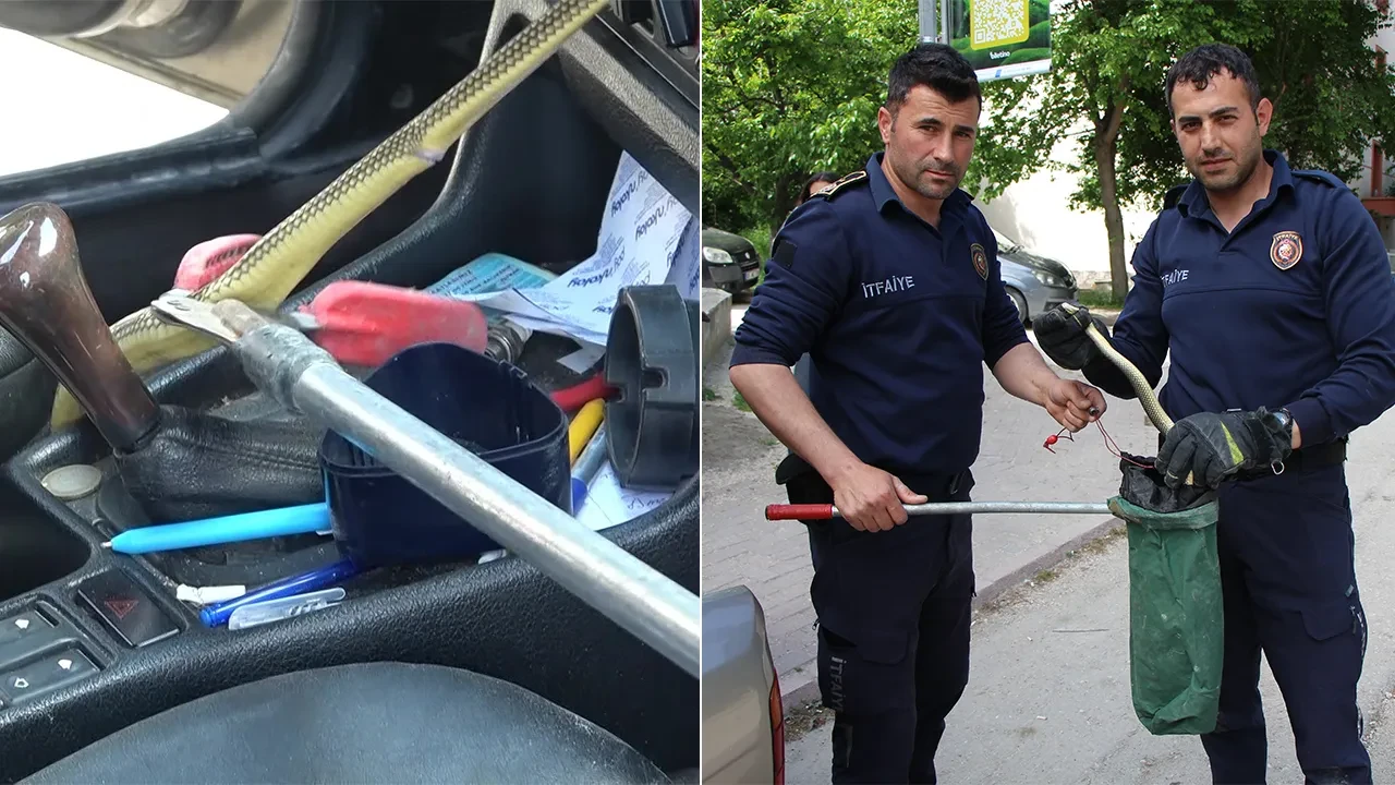 1,5 metrelik yılanı aracında görünce neye uğradığını şaşırdı