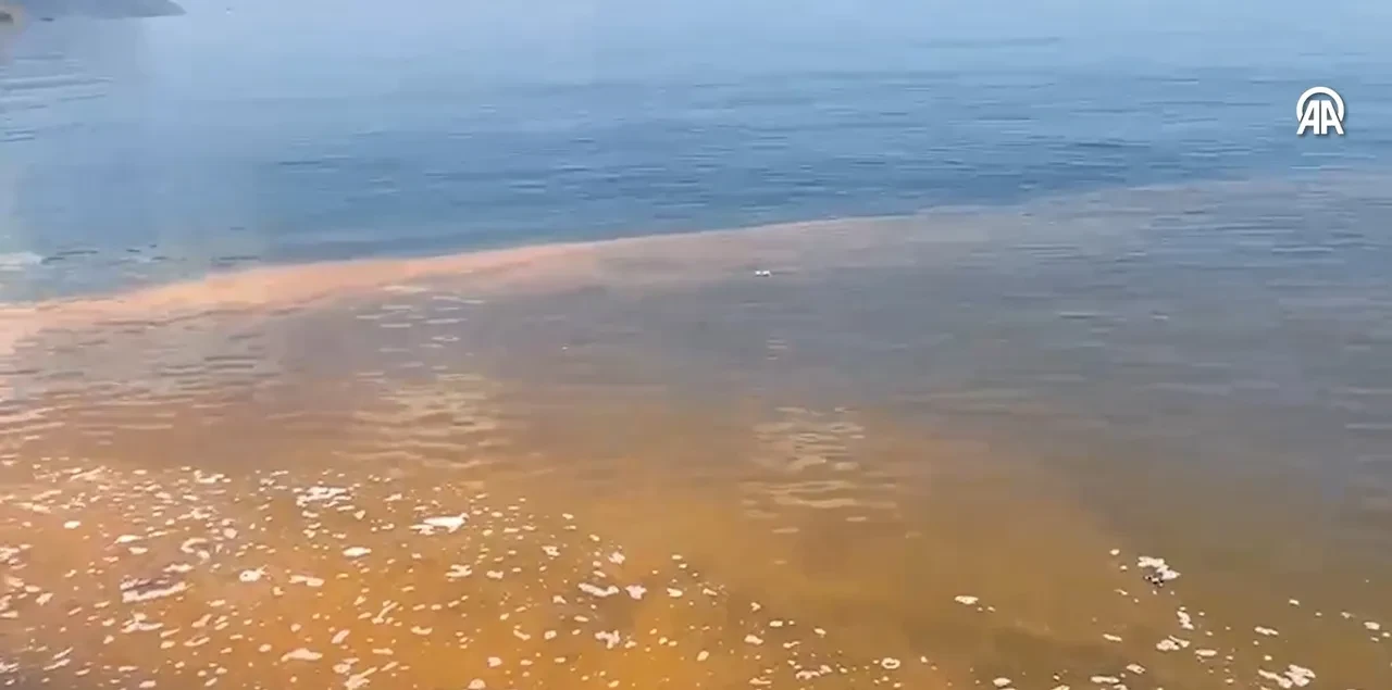 Marmara'da deniz suyu turuncuya dönüştü: Kaygılandıran renge açıklama geldi