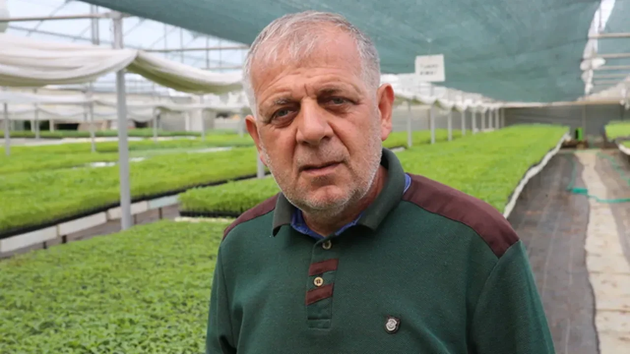 40 metrekare zenginliği! İki emekli hobi olarak başladı, şimdi para basıyorlar