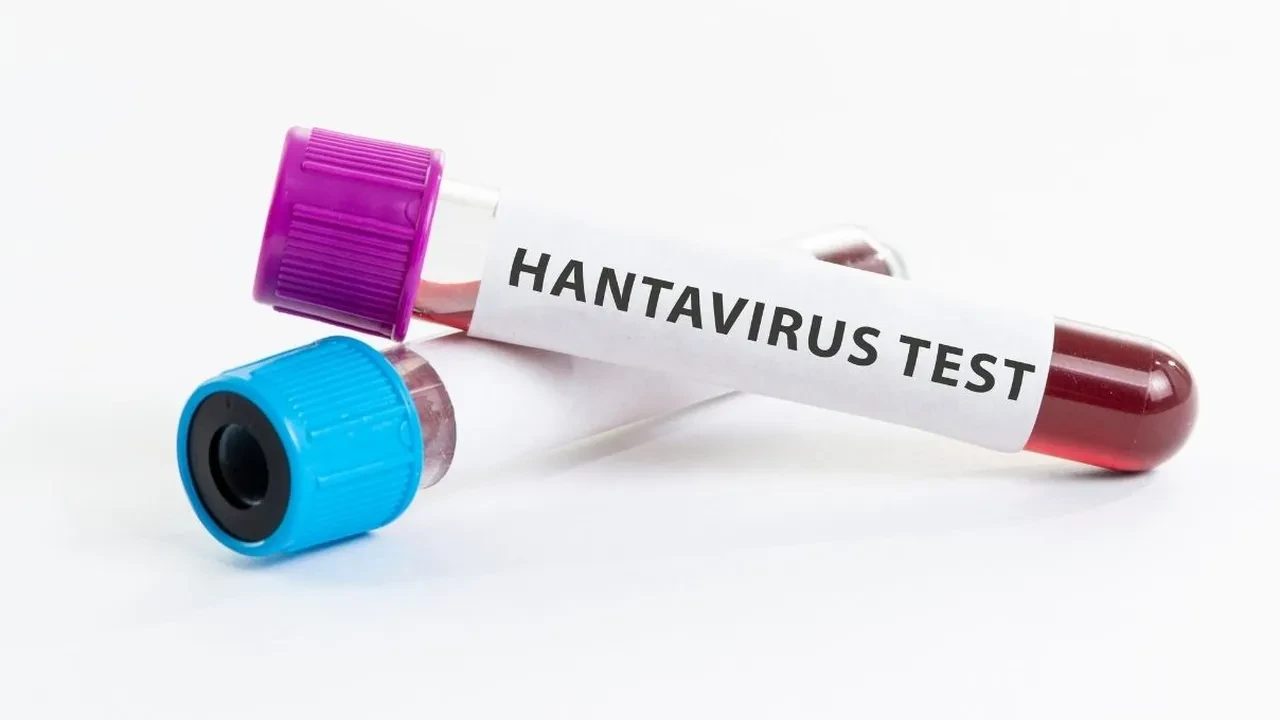 Dünyayı tedirgin eden hantavirüsü yeniden bir salgına neden olur mu? Uzman isimden dikkat çeken açıklamalar