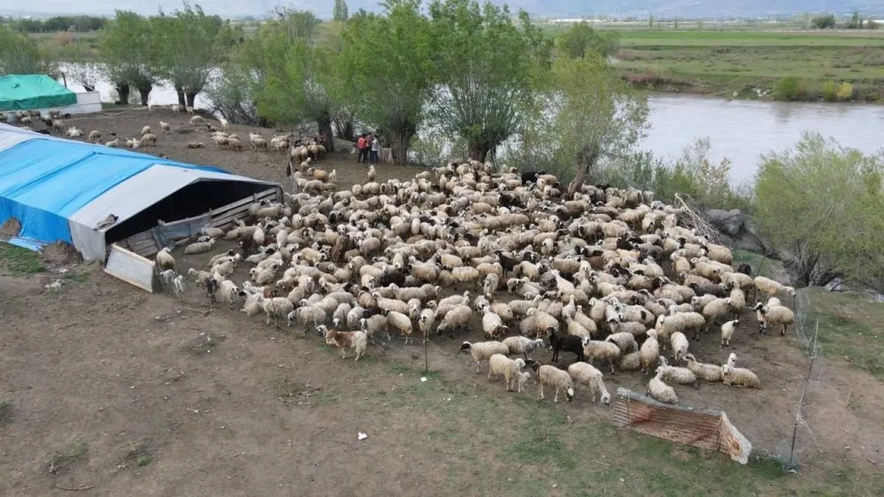'150 bin liralık iş' için yeni formül! İşbaşı yapmaya başladılar.. Sırada diğer iller var
