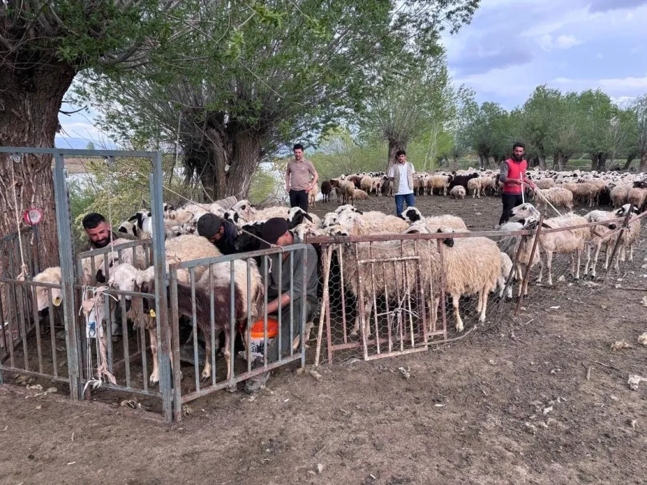 '150 bin liralık iş' için yeni formül! İşbaşı yapmaya başladılar.. Sırada diğer iller var