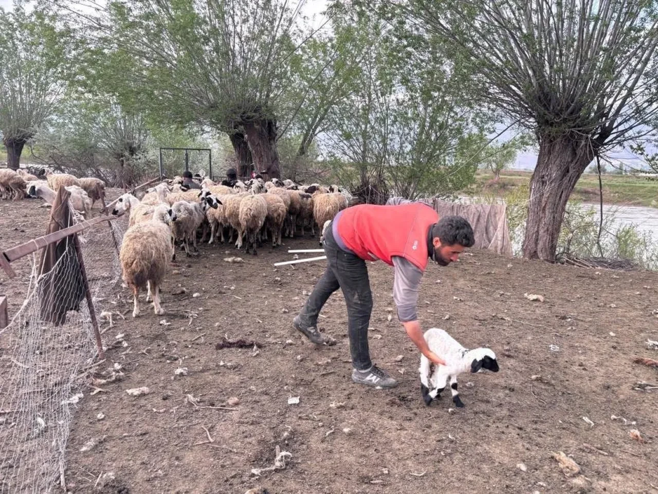 '150 bin liralık iş' için yeni formül! İşbaşı yapmaya başladılar.. Sırada diğer iller var