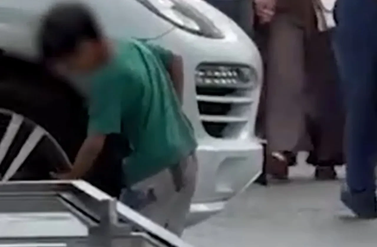 Esenler'de kediye saldırdılar, uyaran kadını da tehdit ettiler!