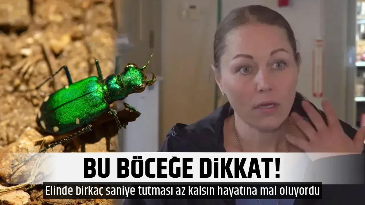 BU BÖCEĞE DİKKAT!