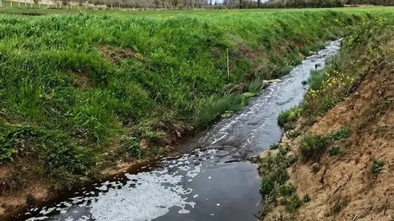 Sinop’ta çevreyi kirleten tesise 1.6 milyon TL ceza