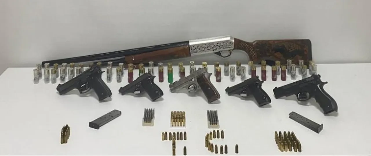 Ev ev değil resmen mühimmat deposu! Polis elini nereye attıysa silah çıktı