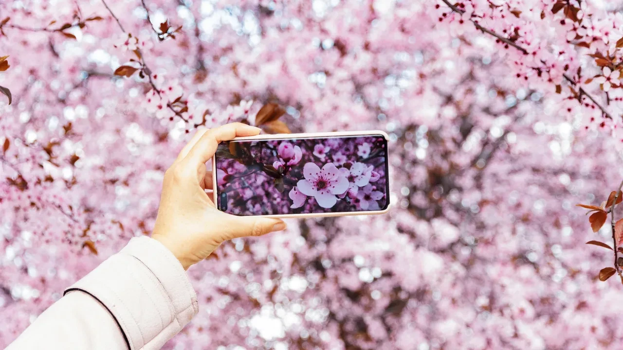 iPhone'unuzun kamerasını yanlış kullanıyorsunuz! Meğer en iyi ayar 4K değilmiş