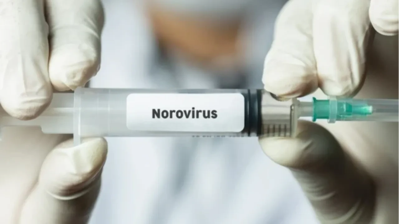 Norovirüs nedir belirtileri neler neden gündem oldu? 1700'den fazla kişi karantinada
