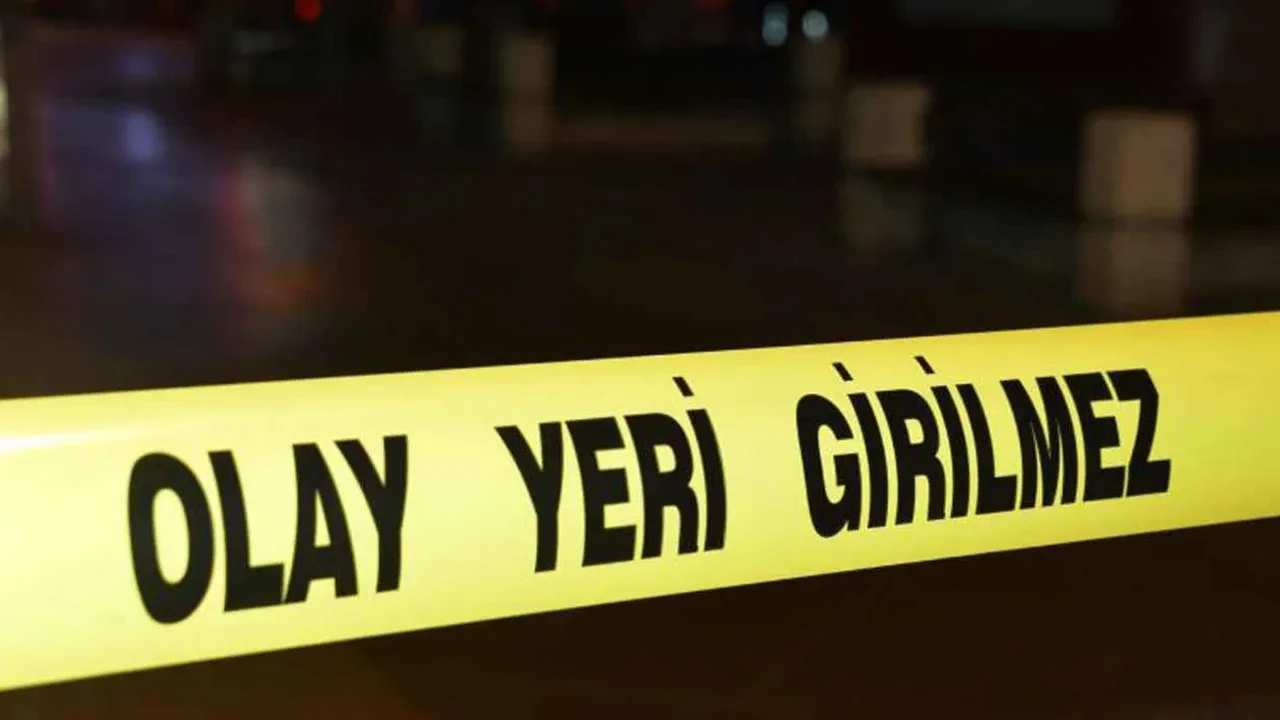 Sessiz ölümler modern dünyanın dramı: 309 kişi en az bir ay sonra bulundu