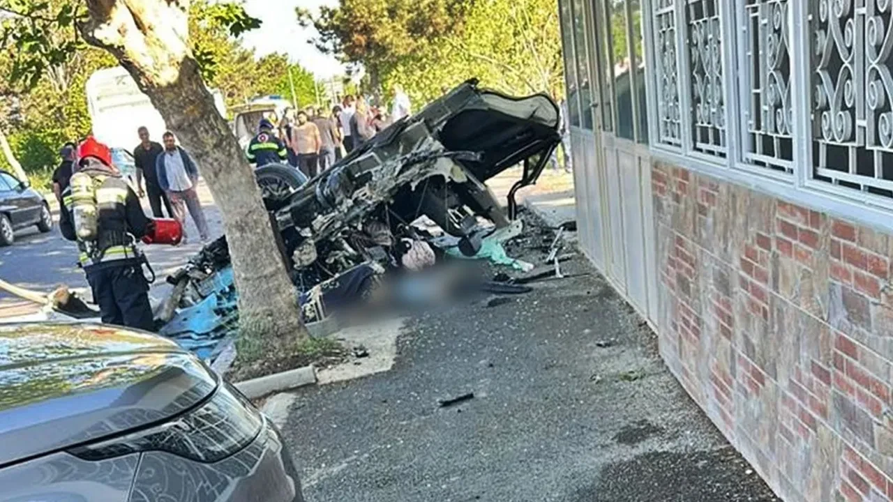 Gürcistan'da otomobil ağaca çarptı: 7 ölü