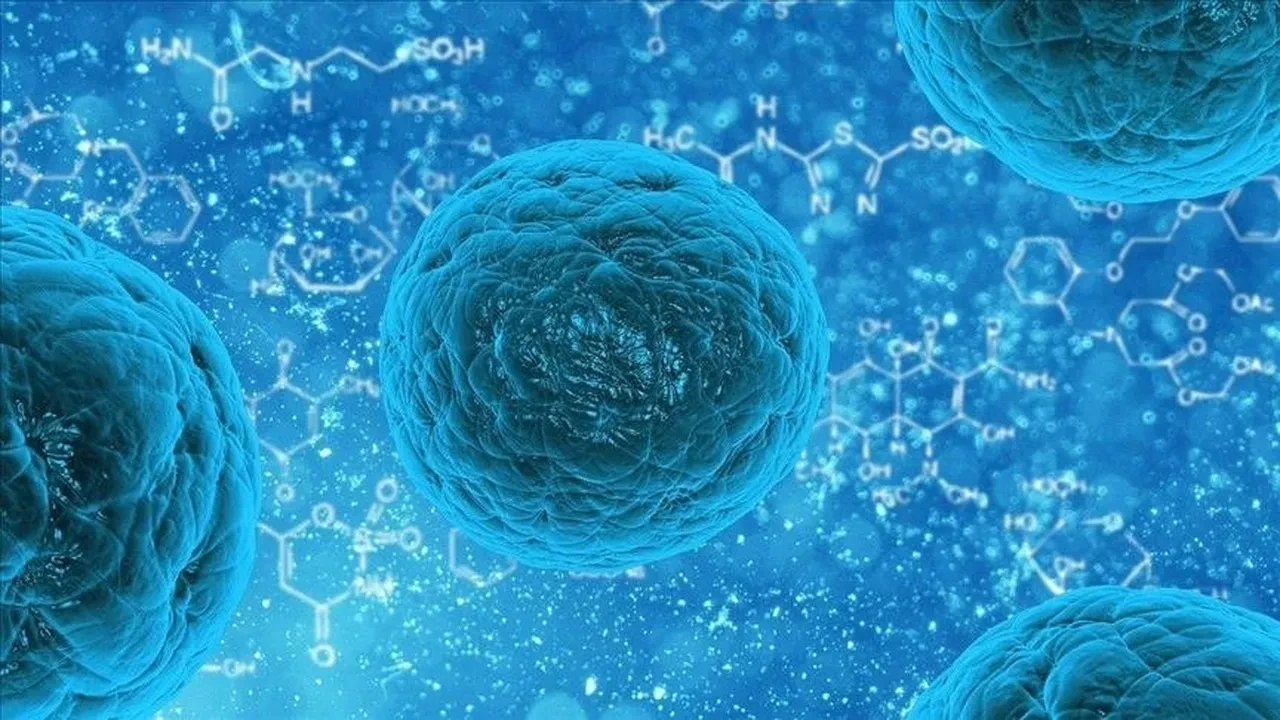 Hantavirüs sonrası norovirüs paniği: Vakaların görüldüğü gemi tahliye edildi