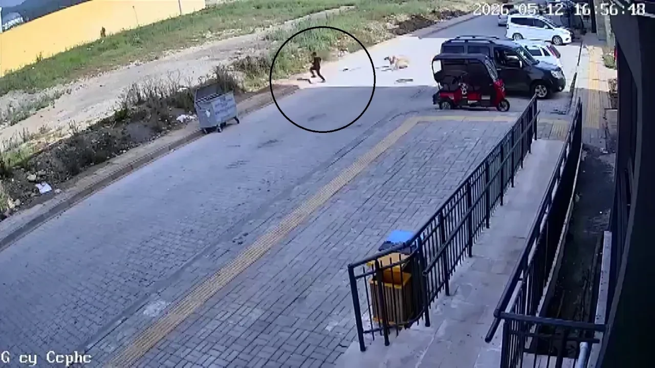 Sokak köpeklerinin saldırdığı çocuğun korku dolu anları kamerada