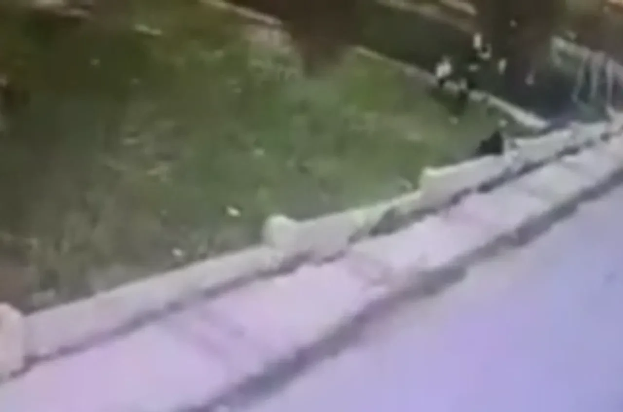 Büyükçekmece’de çocukların kanlı kavgası: 16 yaşındaki genç hayatını kaybetti, saldırganlar tutuklandı