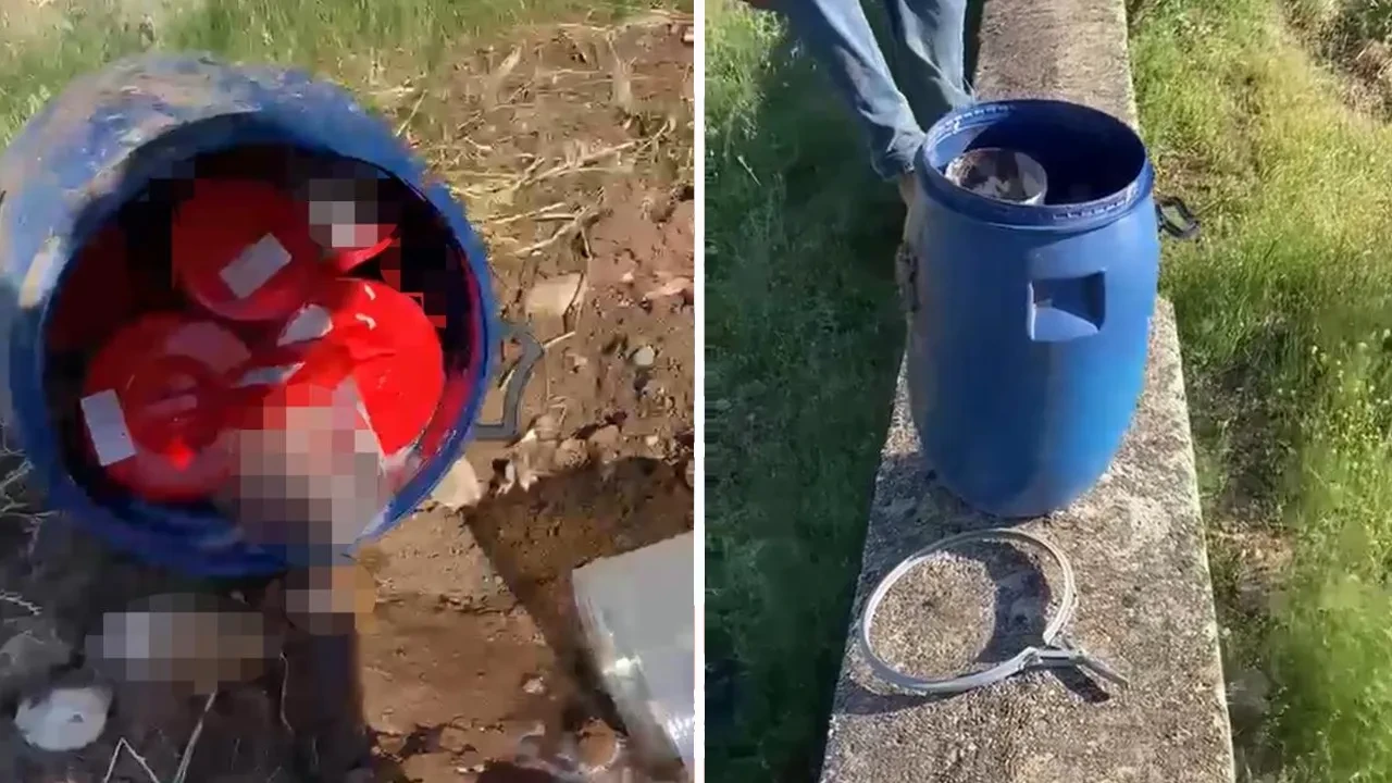 Şanlıurfa'da mezarlıkta korkunç manzara: Varilden …