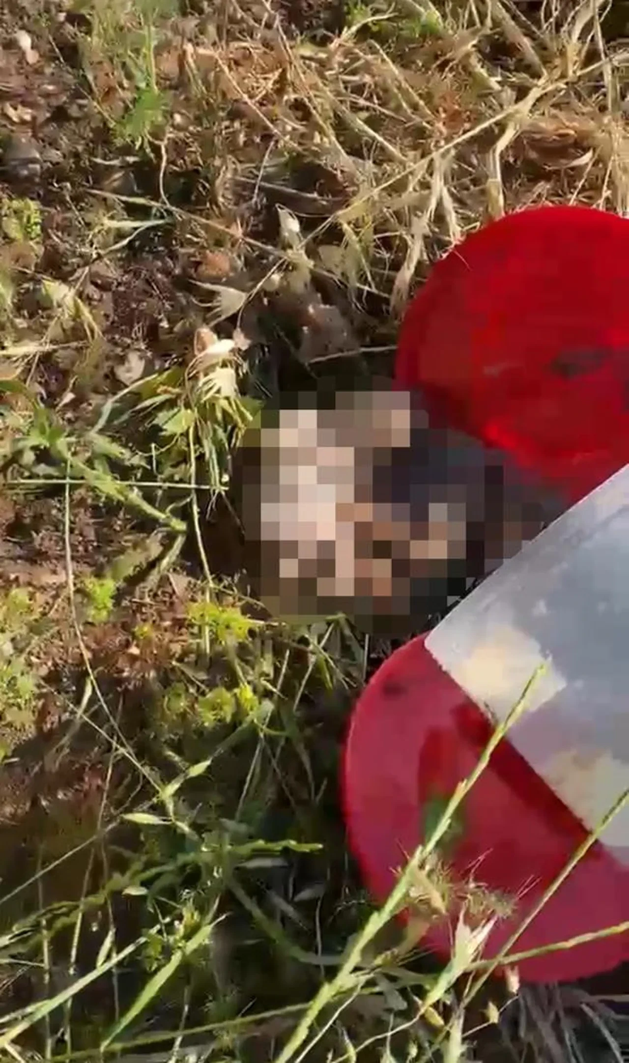 Şanlıurfa'da mezarlıkta korkunç manzara: Varilden 21 cenin çıktı 
