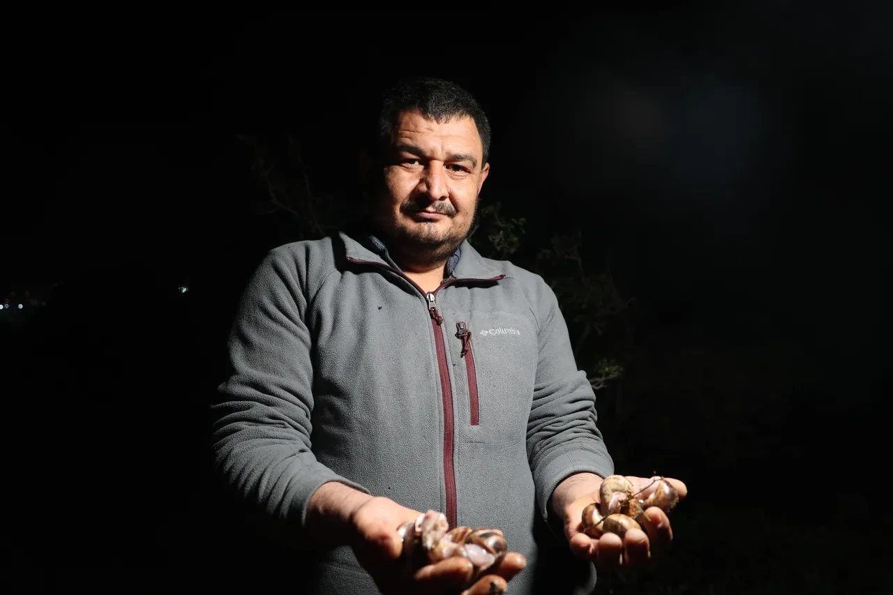 Vatandaşa ek gelir oldu! Ellerinde fenerlerle dağ taş demeden arıyorlar: Kilosu 35 TL