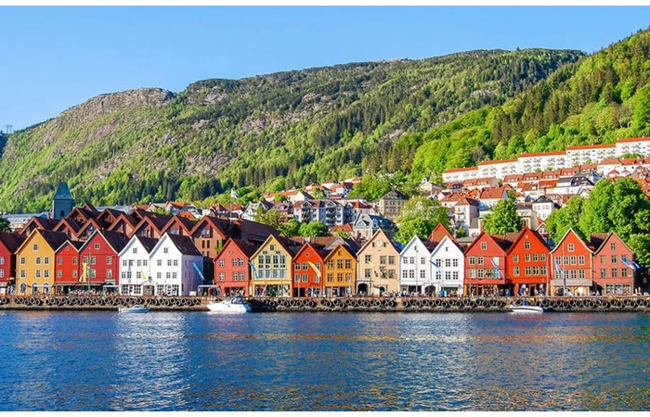 Norveç