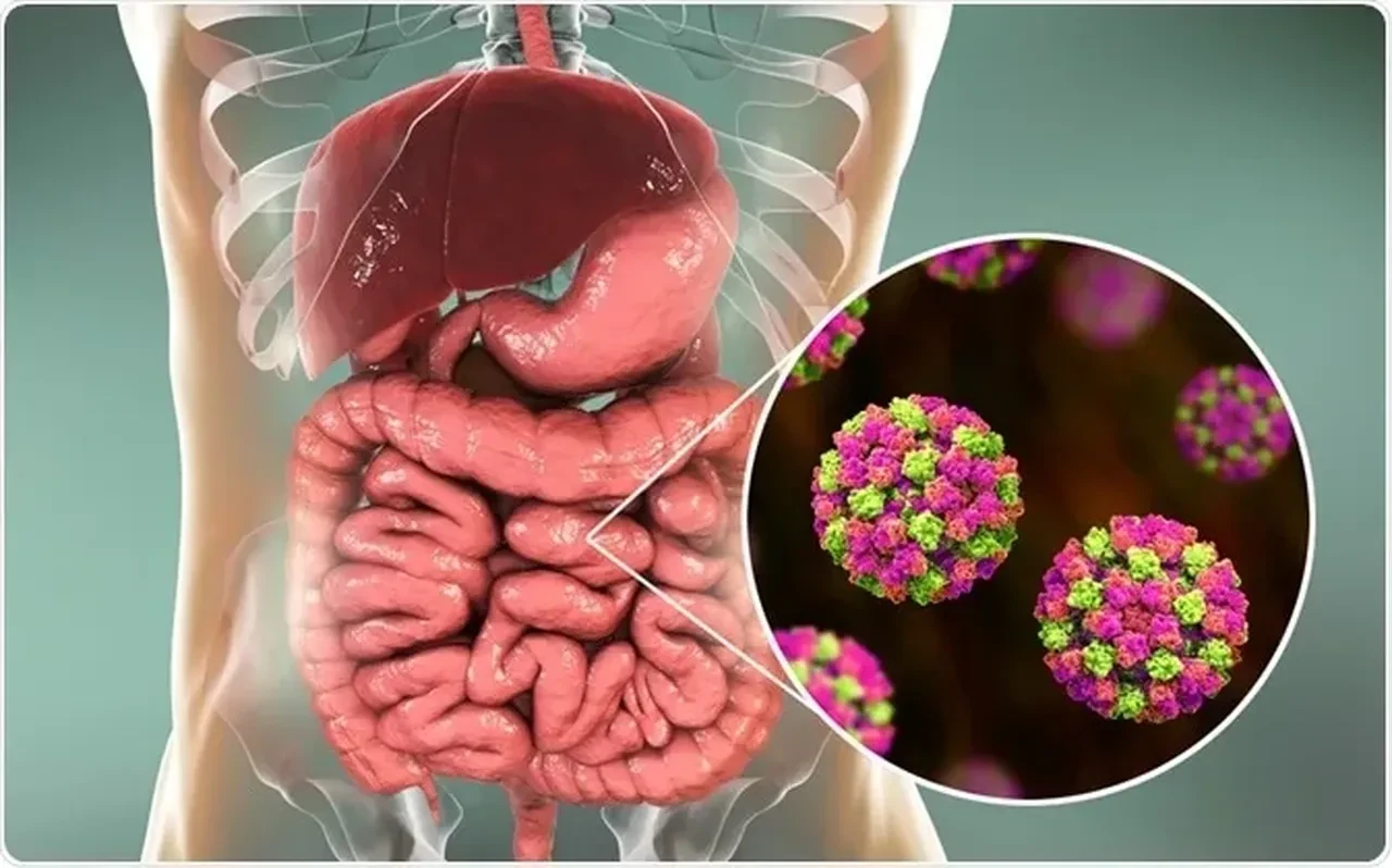 Dünyayı endişelendiren virüs vakalarında yeni gelişme! DSÖ Ebola için acil durum ilan etti