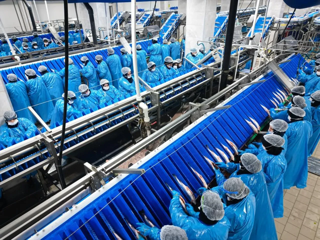 Karadeniz'de büyüyor, 19 ülke sırada bekliyor! Sudan çıkan gizli altın dolar basıyor